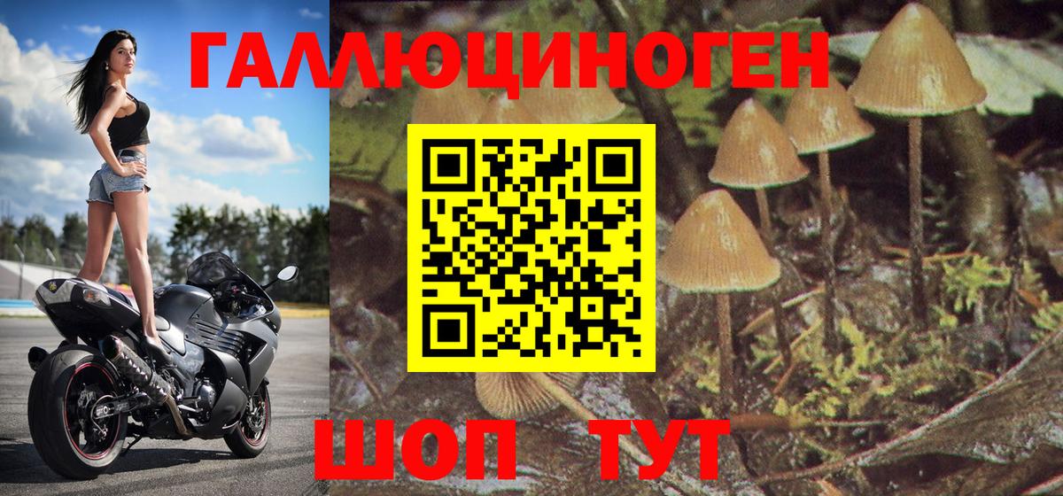 Галлюциногенные грибы мухоморы Донской